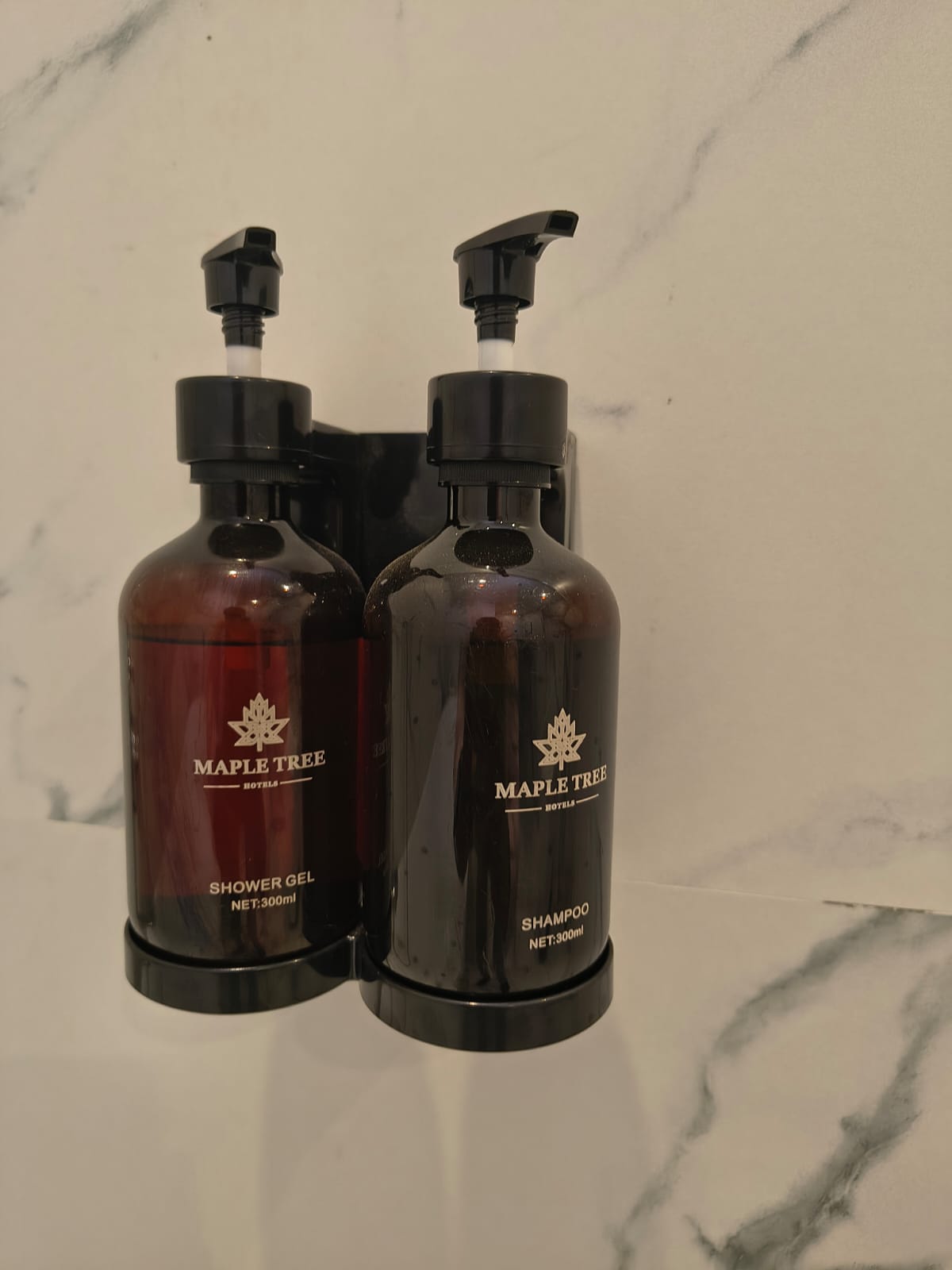 Blue maple Amenities